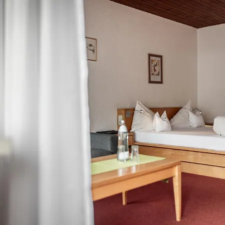 Hotel Engel