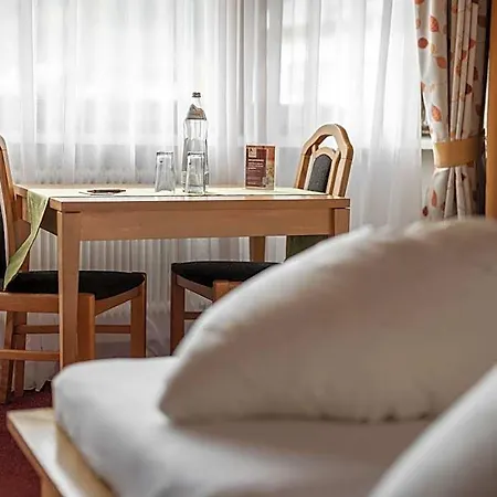 Hotel Engel 3*