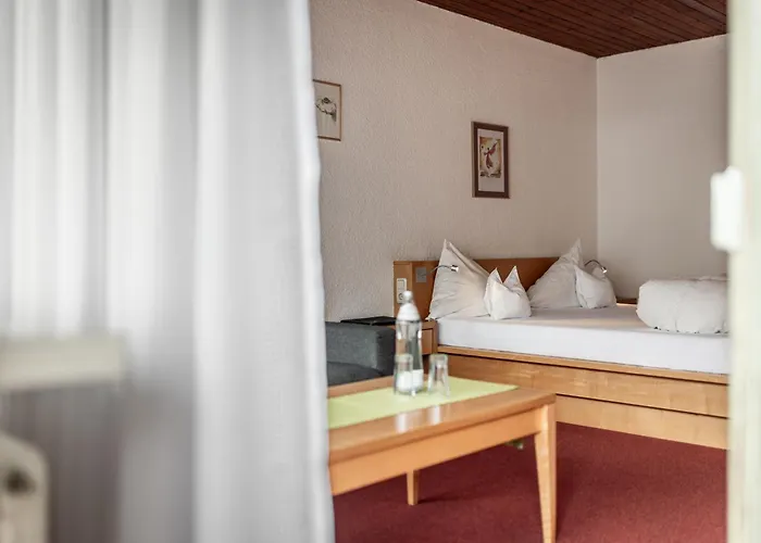 酒店 安格尔酒店